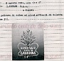 Prodotti cosmetici Kofler, detersivi e chimic 01 (Oscar Mario Zatta)